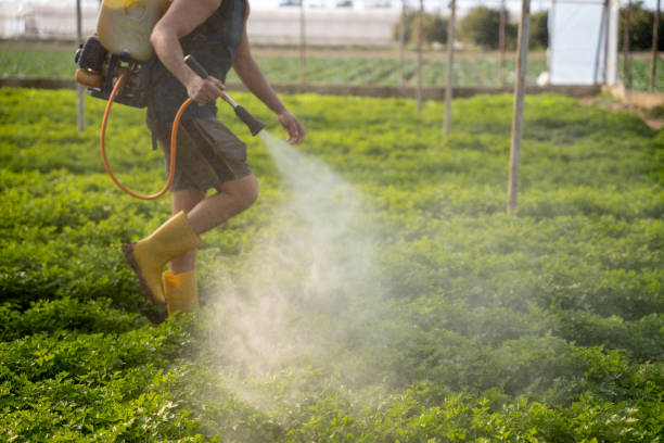 Best Pest Prevention Services  in Pembroke, NC