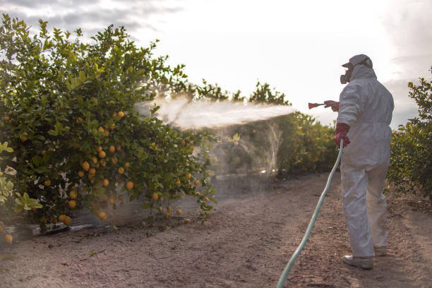 Best Pest Removal Services  in Pembroke, NC