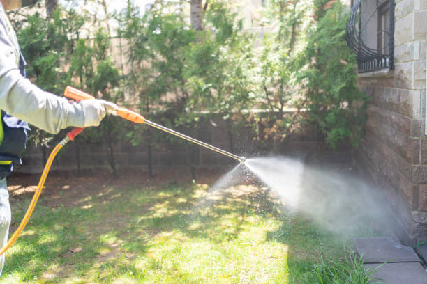 Best Local Pest Control Services  in Pembroke, NC